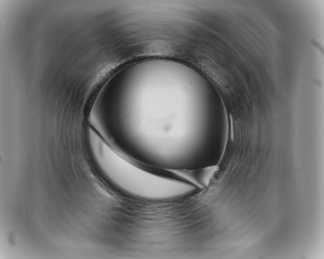 X0000096470252200802071903