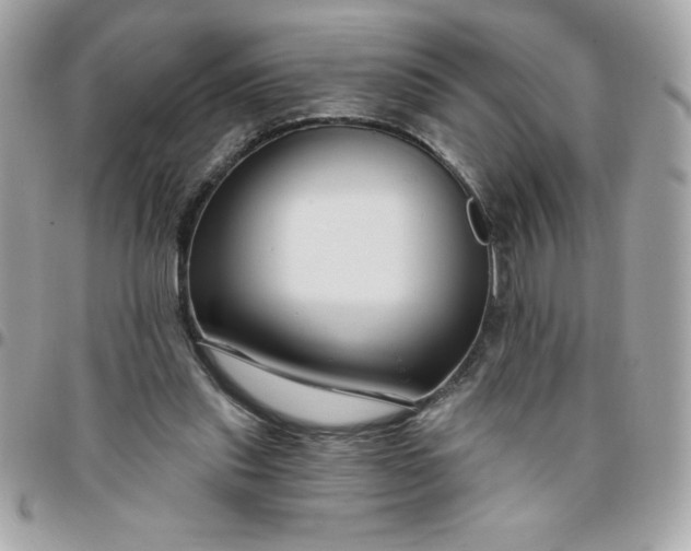 X0000096470253200802071903