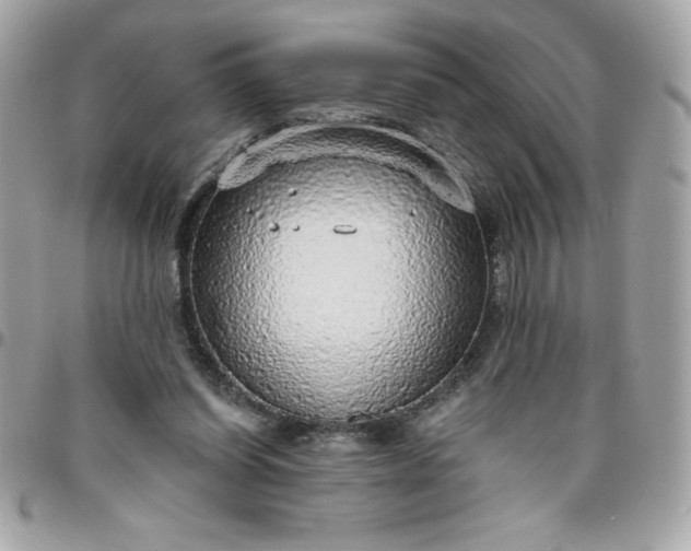 X0000096470254200802071903