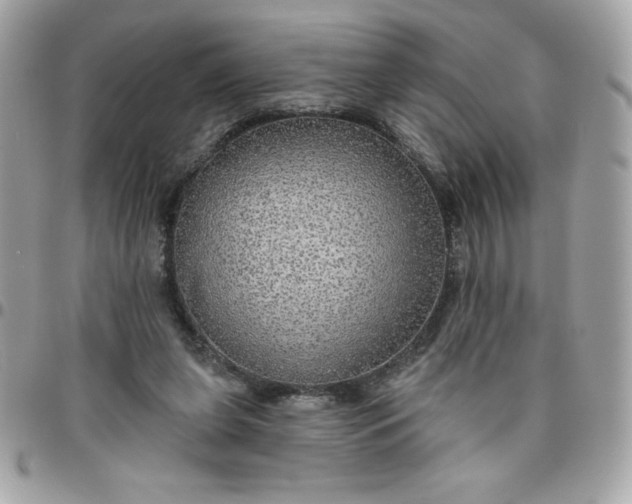 X0000096470255200802071903