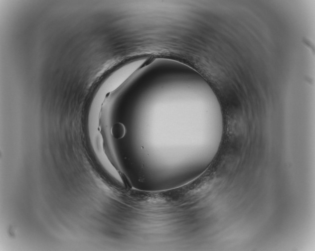 X0000096470256200802071903