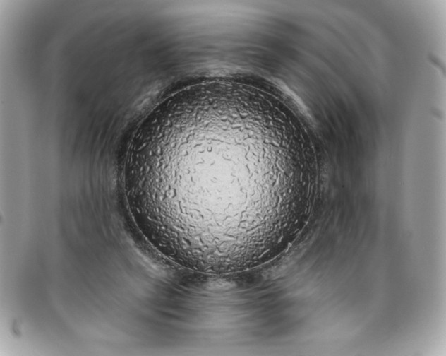 X0000096470257200802071903