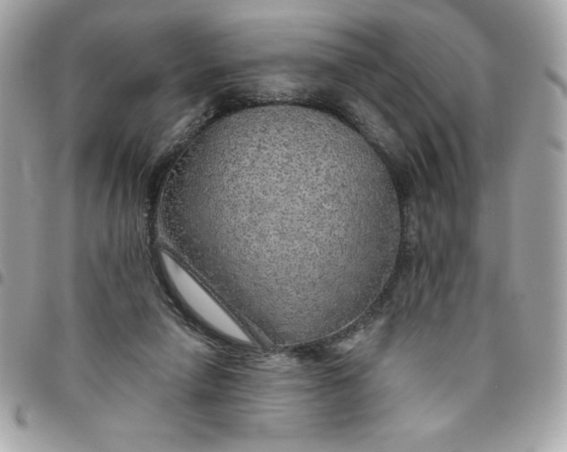 X0000096470258200802071903