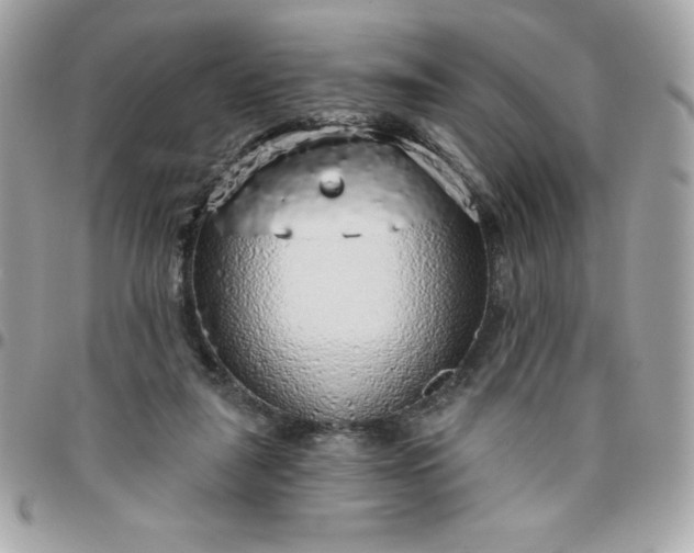 X0000096470259200802071903