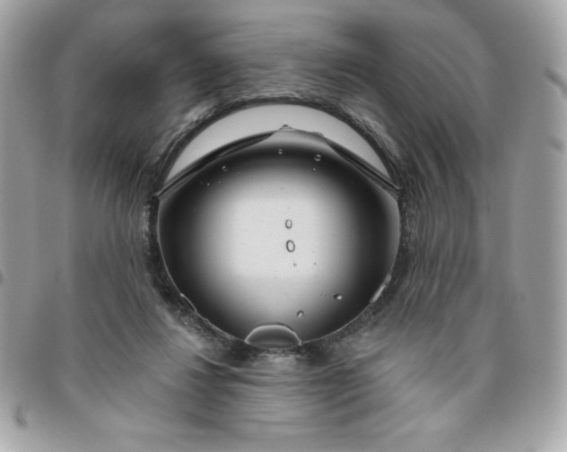 X0000096470260200802071903