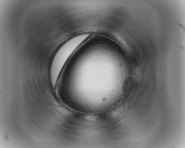 X0000096470261200802071903