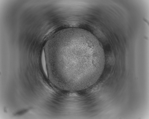 X0000096470262200802071903