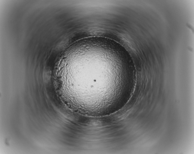 X0000096470263200802071903