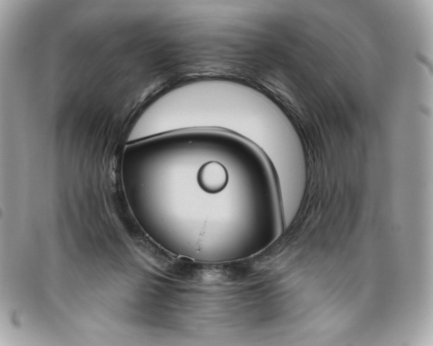 X0000096470264200802071903