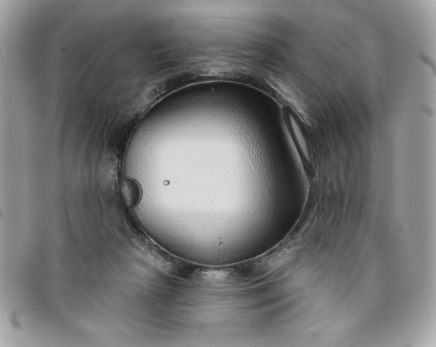 X0000096470265200802071903