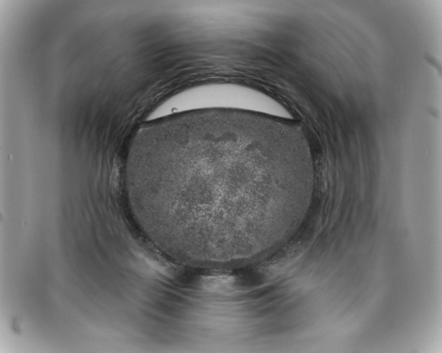 X0000096470266200802071903