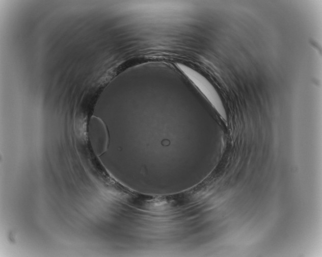 X0000096470267200802071903