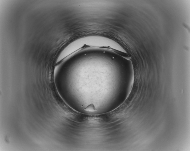 X0000096470268200802071903