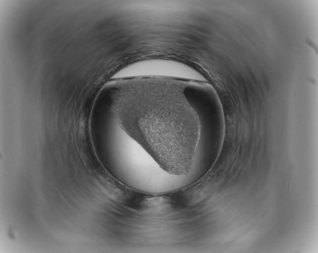 X0000096470269200802071903