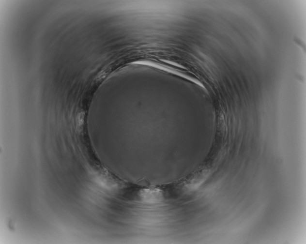 X0000096470271200802071903