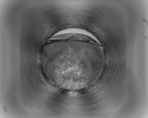 X0000096470272200802071903