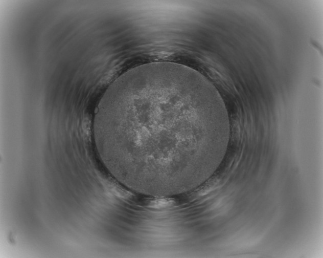 X0000096470274200802071903