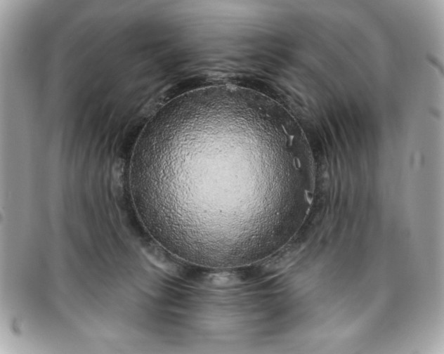 X0000096470275200802071903