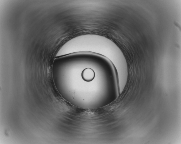 X0000096470276200802071903