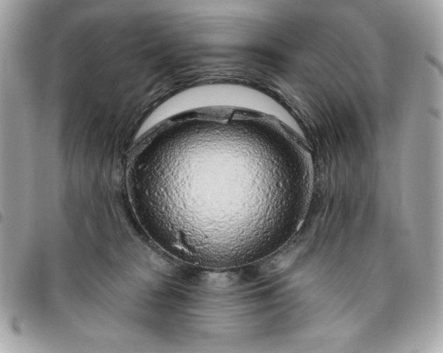 X0000096470277200802071903