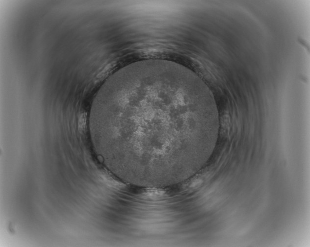 X0000096470278200802071903