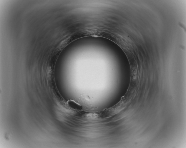 X0000096470279200802071903