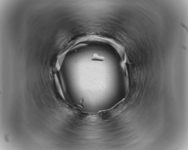 X0000096470280200802071903