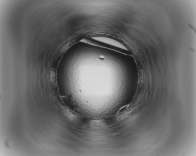 X0000096470281200802071903