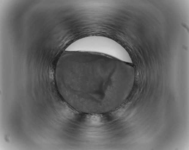 X0000096470282200802071903