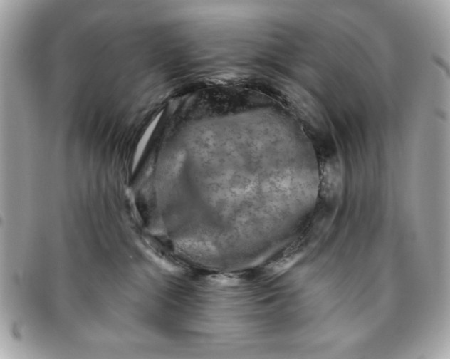 X0000096470284200802071903