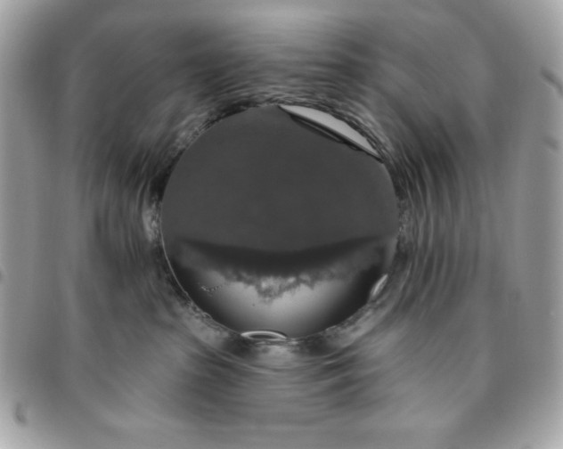 X0000096470285200802071903