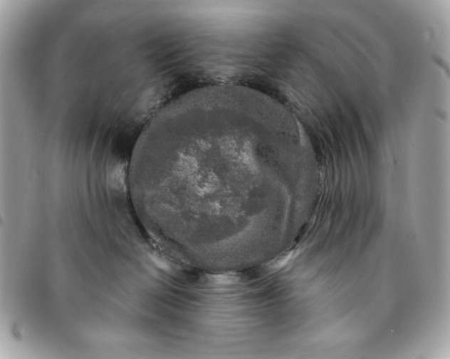 X0000096470286200802071903