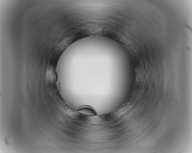 X0000096470287200802071903