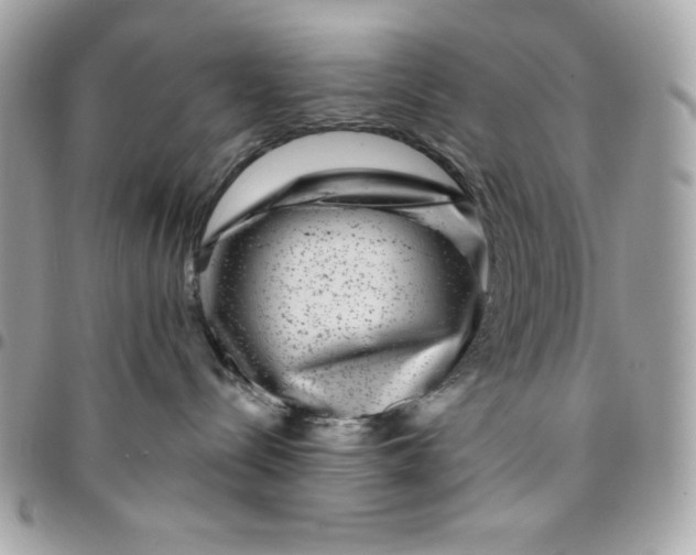 X0000096470288200802071903