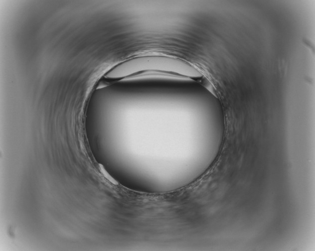 X0000096470289200802071903