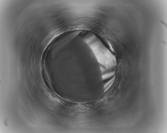 X0000096470290200802071903