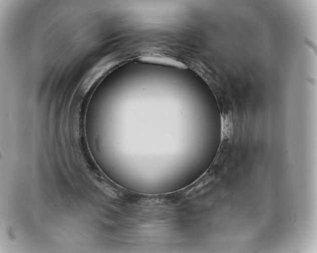 X0000096470291200802071903