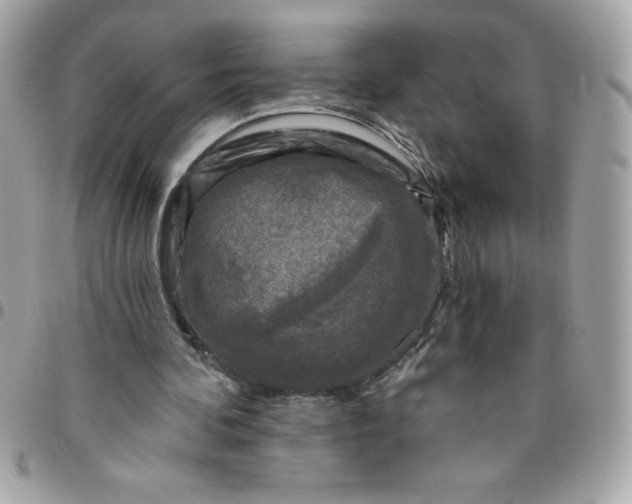 X0000096470292200802071903