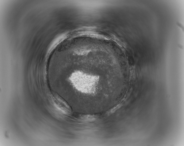 X0000096470293200802071903