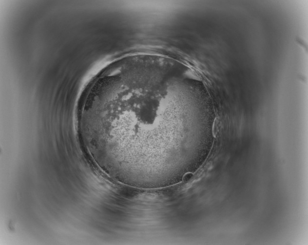 X0000096470294200802071903