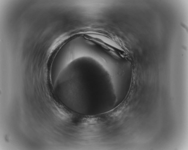 X0000096470295200802071903