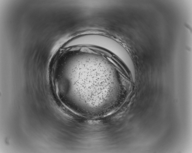 X0000096470296200802071903