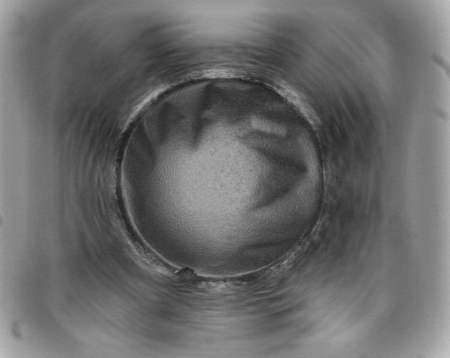 X0000096470297200802071902