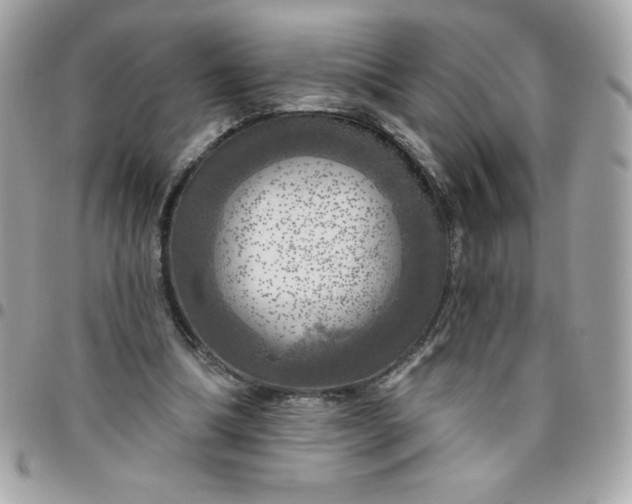 X0000096470298200802071902