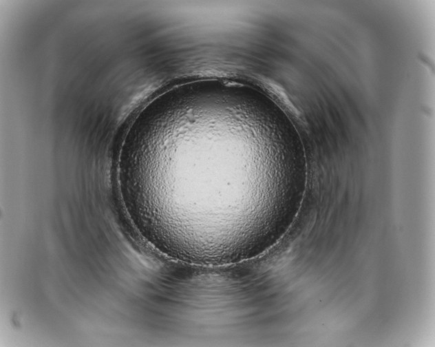 X0000096470299200802071902