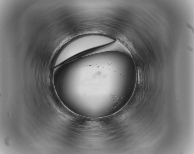 X0000096470300200802071902