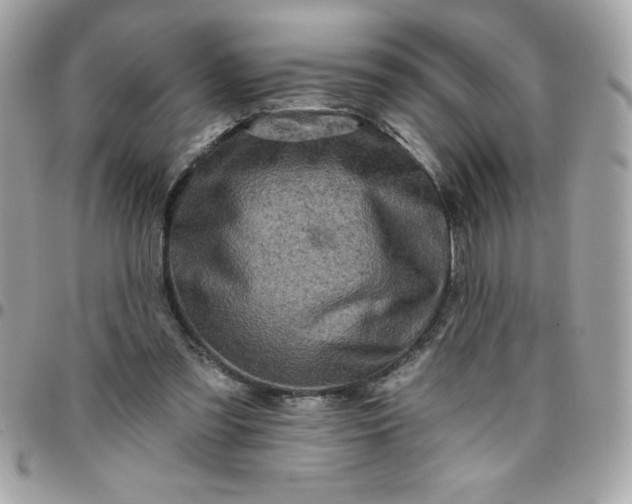 X0000096470301200802071902