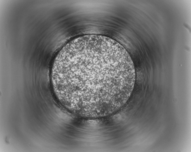 X0000096470302200802071902