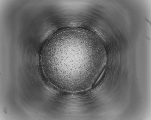 X0000096470303200802071902