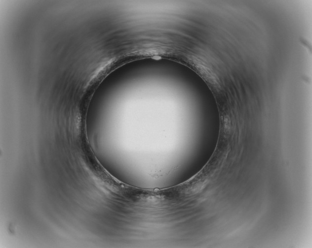 X0000096470304200802071902